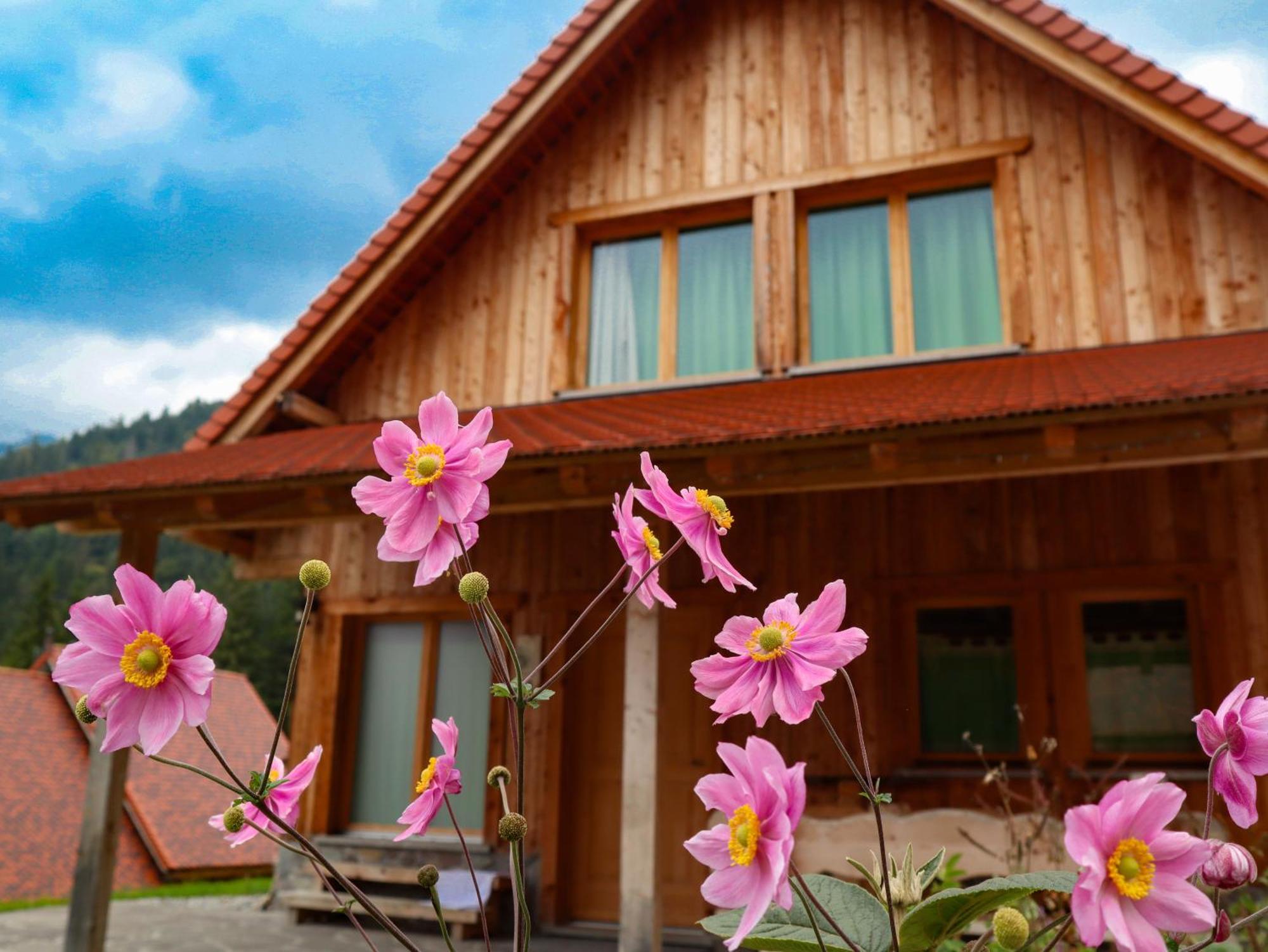 Dolomiti Village Comeglians Exterior foto